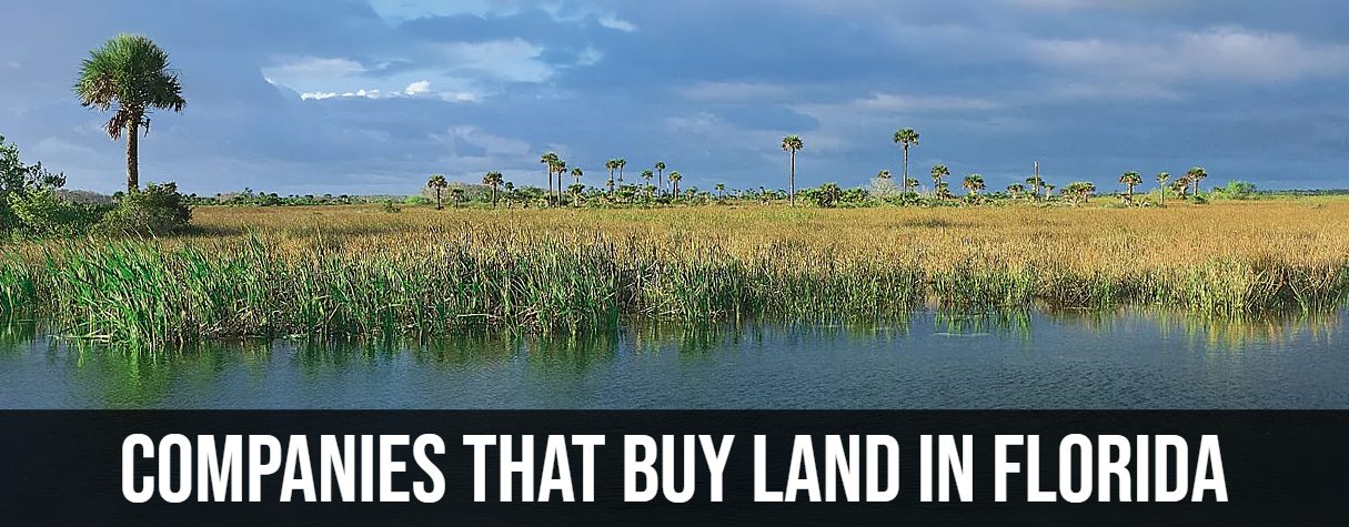 Companies that Buy Land in Florida 1