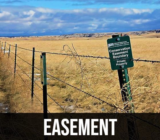 Easements Bubba Land Co