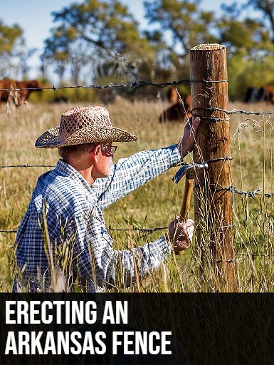 Erecting an Arkansas Fence