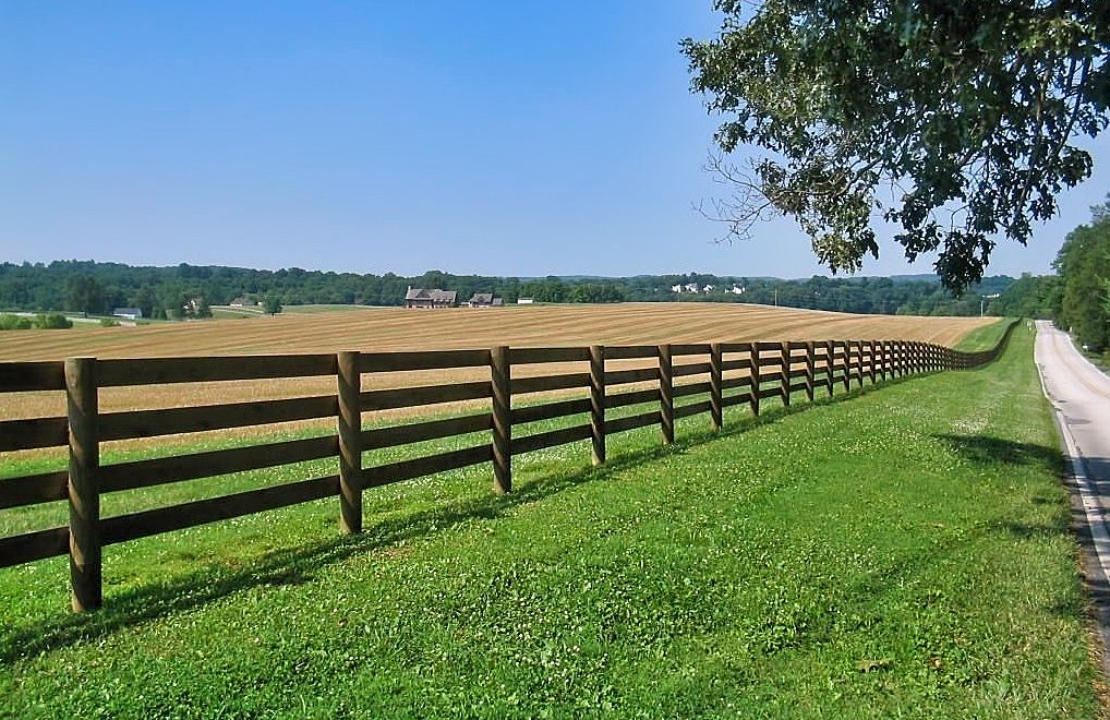 Arkansas Fence Laws