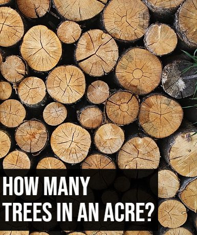 How Many Trees in an Acre