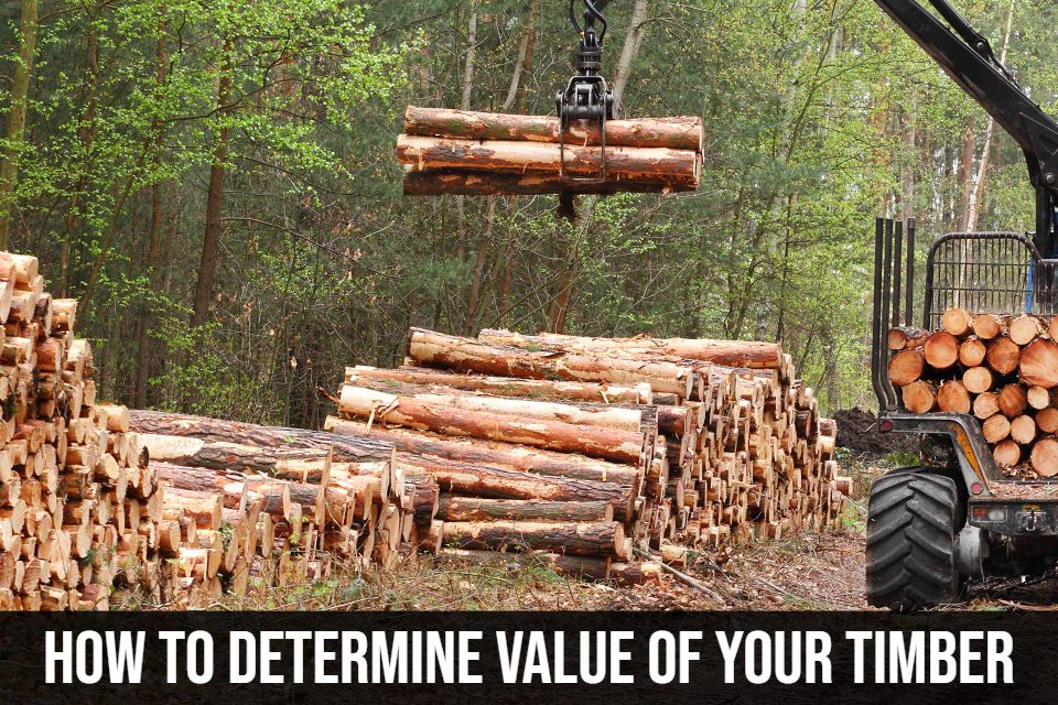 How to Determine Value of Timber