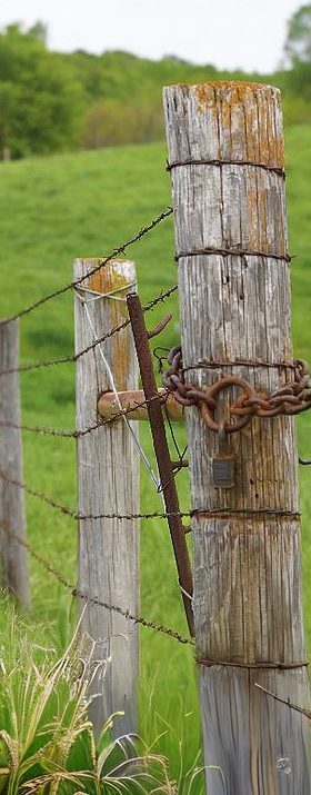 Tennessee Fence Laws in Land