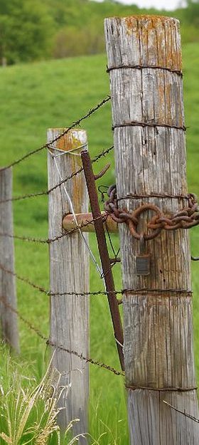 Tennessee Fence Laws in Land