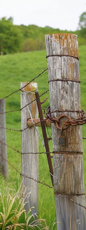 Alabama Fence Laws in Land