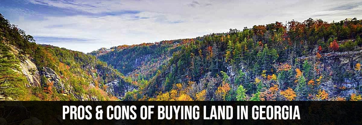 Buying Land in Georgia