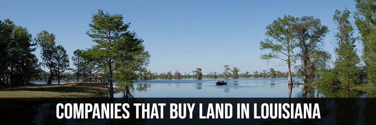 Companies that Buy Louisiana Land