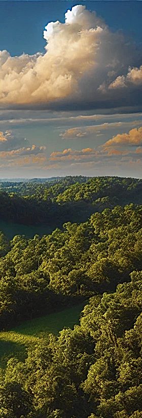 FAQs Sell Inherited Kentucky Land