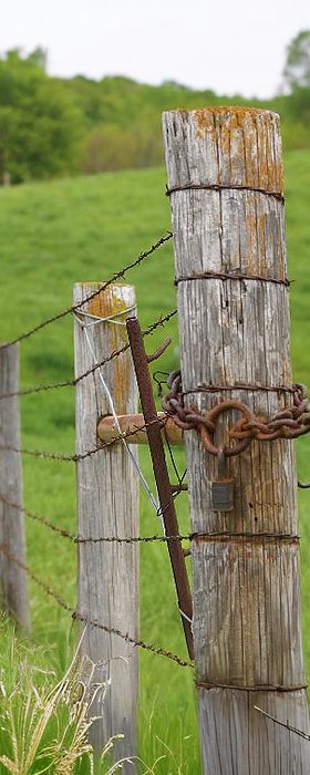 Kentucky Fence Laws in Land