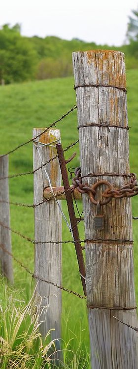 Landlocked GA Fence Line