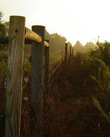 North Carolina Fence