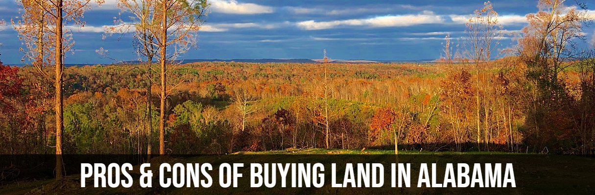 Pros and Cons of Buying Land in Alabama