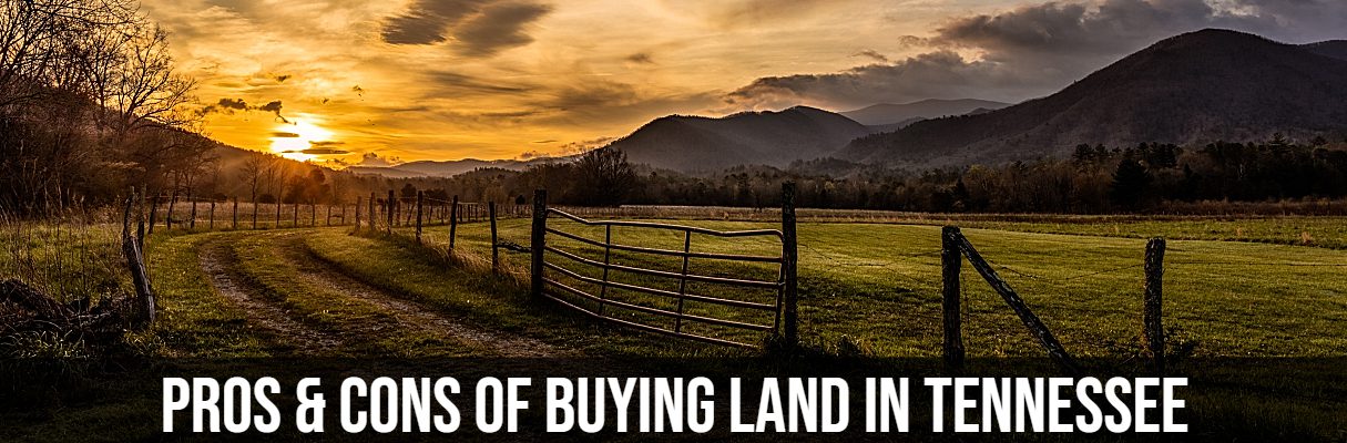 Pros and Cons of Buying Land in Tennessee