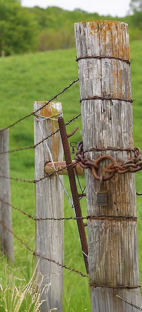 South Carolina Fence Laws in Land