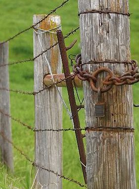 Maryland Fence Laws in Land