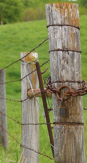 Mississippi Fence Laws in Land