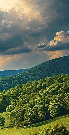 Sell Inherited Land in Tennessee