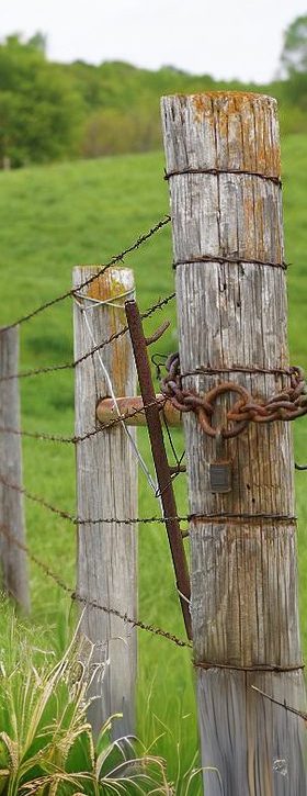 Virginia Fence Laws in Land