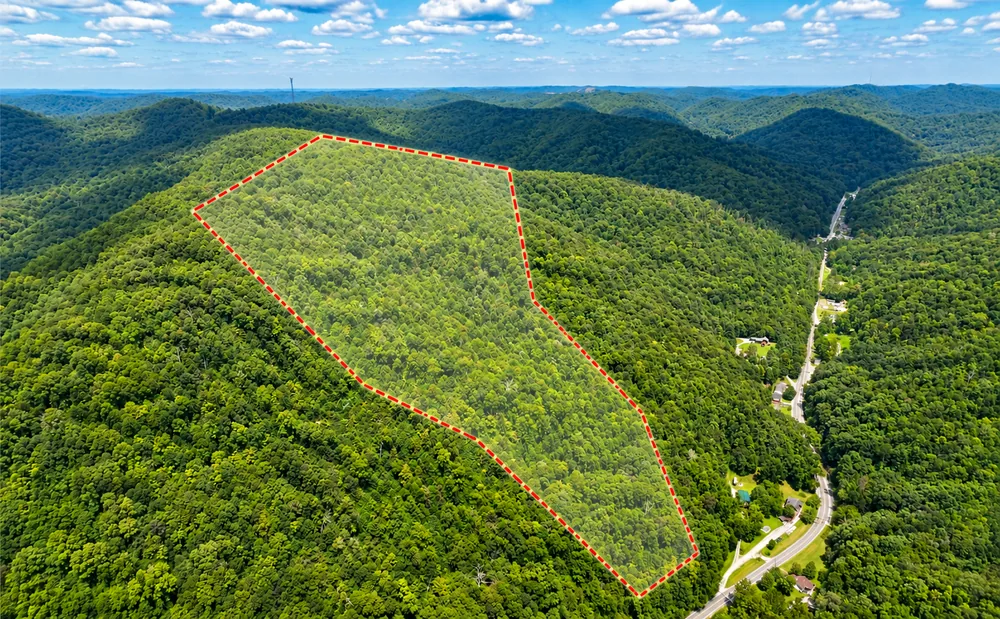 Aerial view of a mountainside timber tract in Boone County, West Virginia