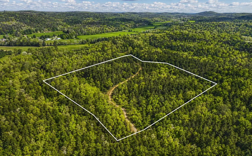 Aerial view of a 20-acre wooded property in Hampshire County, West Virginia